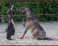 2-13JUIN 0131